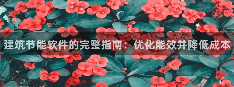 尊亿游戏国际官网：建筑节能软件的完整指南：优化能效并降低成本