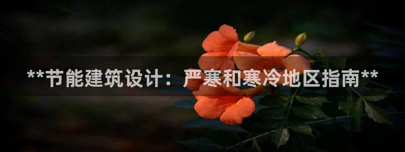 尊亿娱乐国际官网