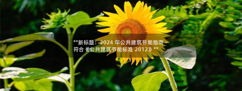 e尊国际-e尊国际官网：**新标题：2024 年公共建筑节能指南 - 
符合《公共建筑节能标准 2012》**