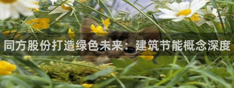e尊国际娱乐官网地址：同方股份打造绿色未来：建筑节能概念深度
