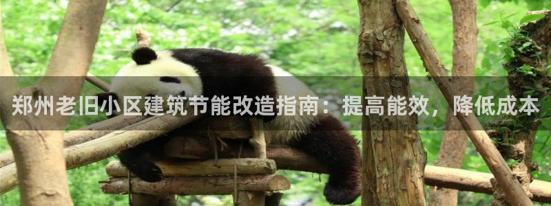 e尊电竞：郑州老旧小区建筑节能改造指南：提高能效，降低成本
