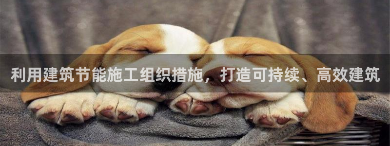 e尊国际官网·网址：利用建筑节能施工组织措施，打造可持续、高效建筑