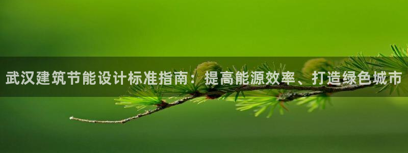 e尊国际客户端下载：武汉建筑节能设计标准指南：提高能源效率、打造绿色城市