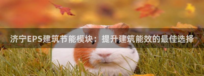 e尊国际是干什么的：济宁EPS建筑节能模块：提升建筑能效的最佳选择