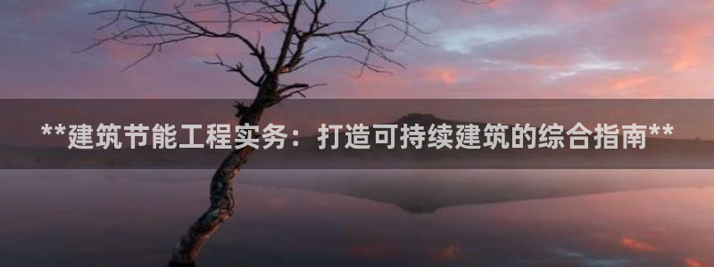 e尊国际7779：**建筑节能工程实务：打造可持续建筑的综合指南**