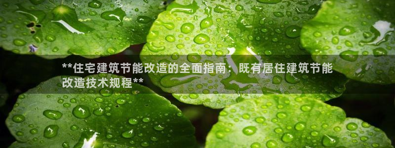 e尊国际客户端下载：**住宅建筑节能改造的全面指南：既有居住建筑节能
改造技术规程**