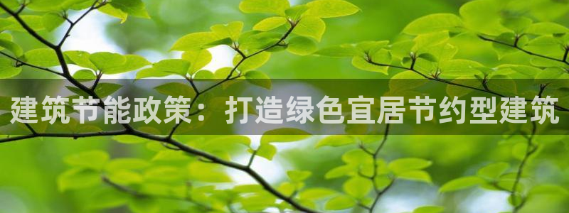 e尊国际网址：建筑节能政策：打造绿色宜居节约型建筑