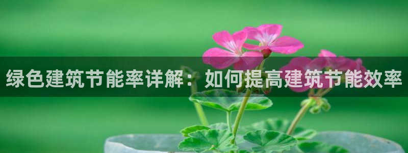e尊国际官方网站：绿色建筑节能率详解：如何提高建筑节能效率