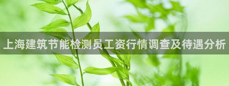 e尊国际-可可计划：上海建筑节能检测员工资行情调查及待遇分析
