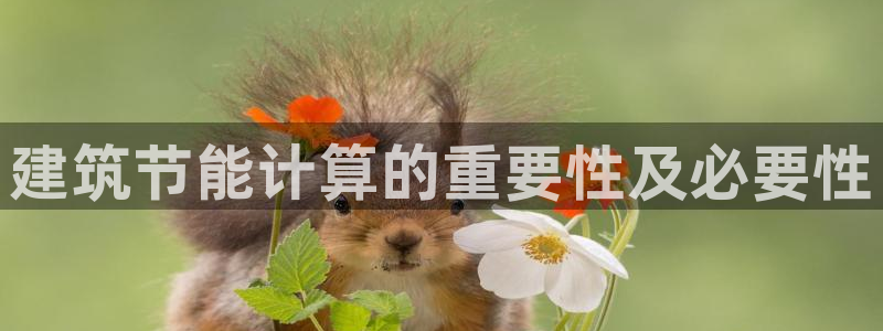e尊国际app：建筑节能计算的重要性及必要性