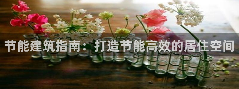 e尊国际是个黑网：节能建筑指南：打造节能高效的居住空间