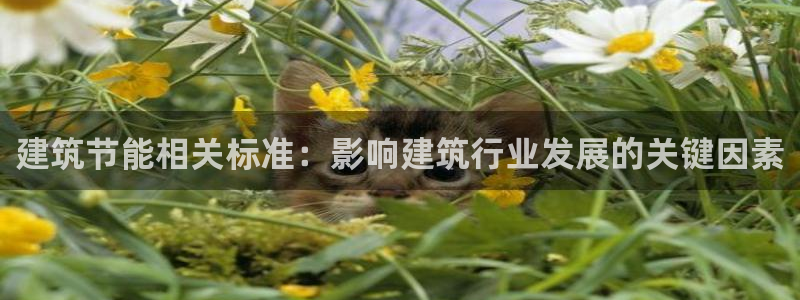 e尊国际7779：建筑节能相关标准：影响建筑行业发展的关键因素