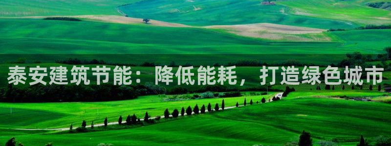 e尊国际官网·网址：泰安建筑节能：降低能耗，打造绿色城市
