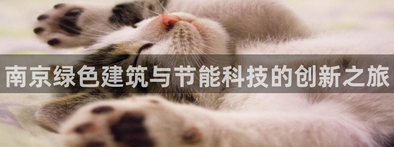 e尊国际地址：南京绿色建筑与节能科技的创新之旅