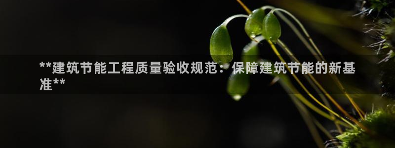 e尊国际-可可计划：**建筑节能工程质量验收规范：保障建筑节能的新基
准**