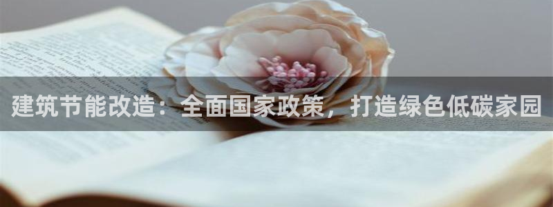E尊国际：建筑节能改造：全面国家政策，打造绿色低碳家园