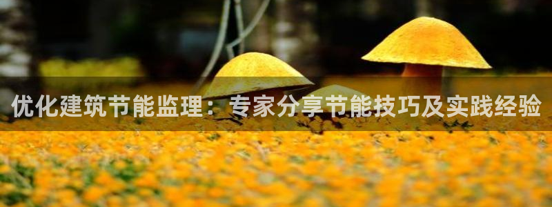 e尊国际的手机登录网站：优化建筑节能监理：专家分享节能技巧及实践经验