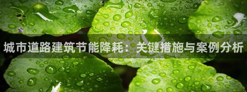 e尊国际官网：城市道路建筑节能降耗：关键措施与案例分析