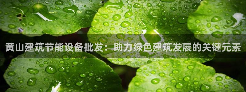 e尊国际娱乐官网地址：黄山建筑节能设备批发：助力绿色建筑发展的关键元素