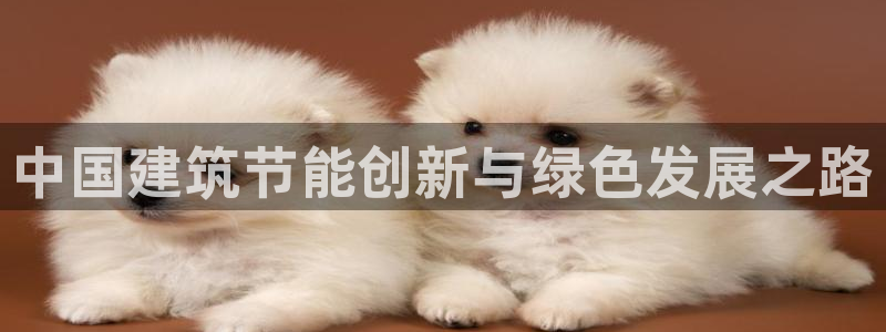 e尊国际是个黑网：中国建筑节能创新与绿色发展之路
