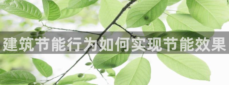 e尊国际客户端下载：建筑节能行为如何实现节能效果