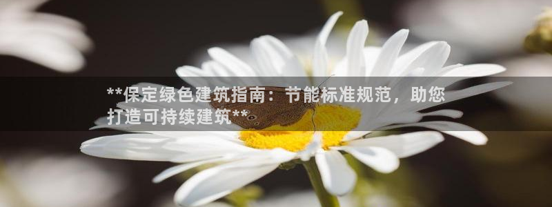 e尊国际地址：**保定绿色建筑指南：节能标准规范，助您
打造可持续建筑**