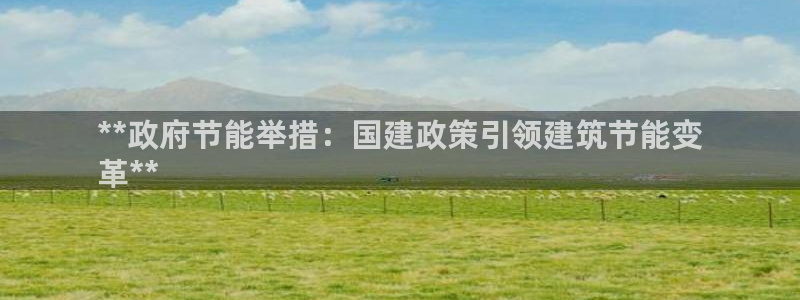 e尊国际是干什么的：**政府节能举措：国建政策引领建筑节能变
革**