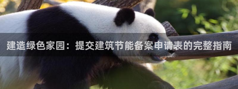 e尊国际地址：建造绿色家园：提交建筑节能备案申请表的完整指南