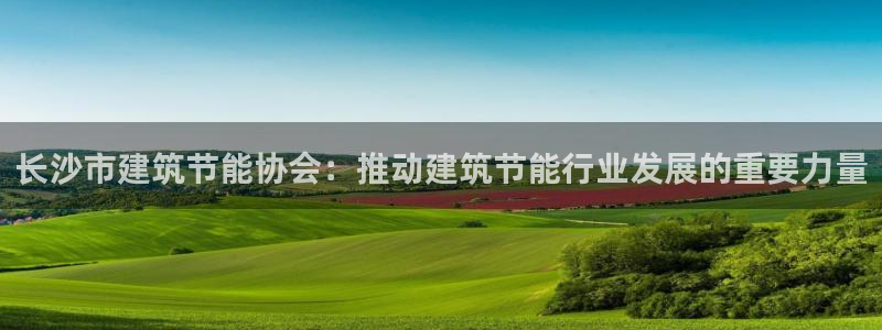 e尊国际客户端：长沙市建筑节能协会：推动建筑节能行业发展的重要力量