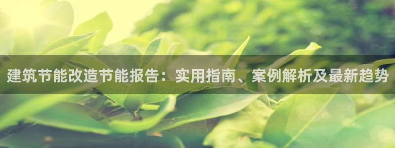 E尊国际网站：建筑节能改造节能报告：实用指南、案例解析及最新趋势