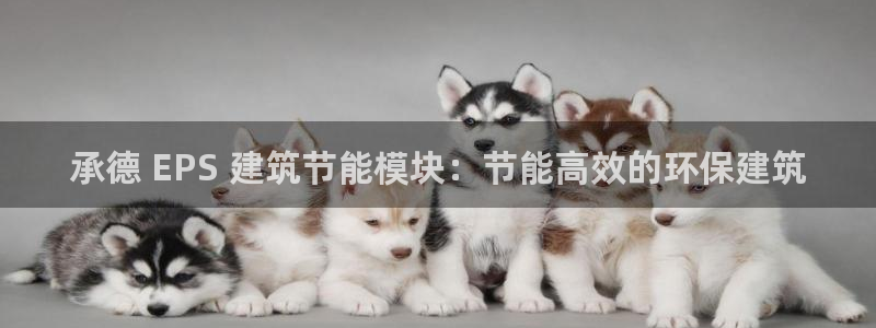 e尊国际的手机登录网站：承德 EPS 建筑节能模块：节能高效的环保建筑