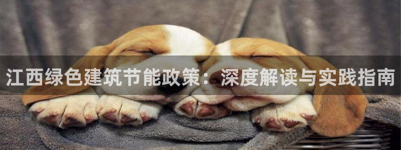 e尊国际客户端下载：江西绿色建筑节能政策：深度解读与实践指南