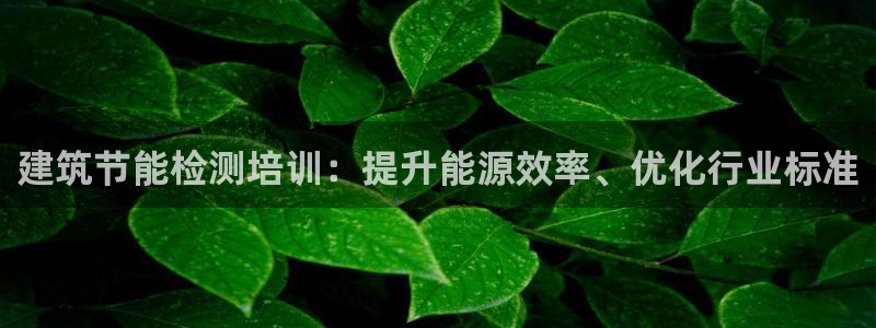 e尊国际7779：建筑节能检测培训：提升能源效率、优化行业标准