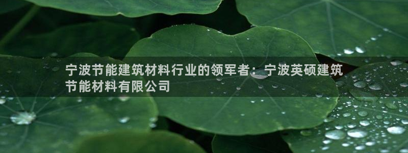 e尊平台：宁波节能建筑材料行业的领军者：宁波英硕建筑
节能材料有限公司