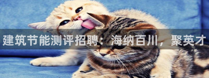 e尊电竞：建筑节能测评招聘：海纳百川，聚英才