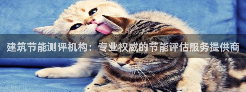 e尊国际官网·网址：建筑节能测评机构：专业权威的节能评估服务提供商