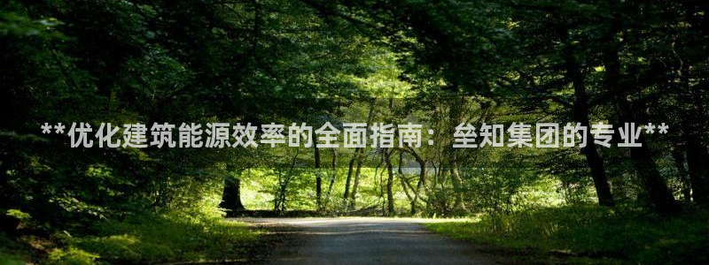 尊亿游戏国际官网：**优化建筑能源效率的全面指南：垒知集团的专业**