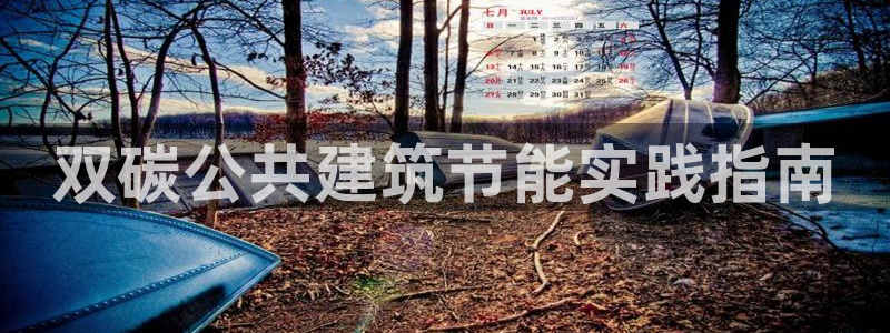 e尊国际官网app：双碳公共建筑节能实践指南