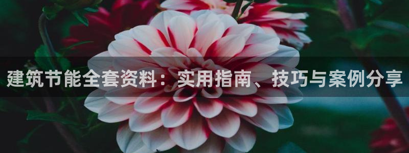 e尊国际客户端下载：建筑节能全套资料：实用指南、技巧与案例分享