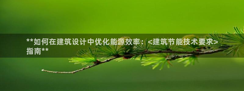 e尊国际网址：**如何在建筑设计中优化能源效率：<建筑节能技术要求>
指南**