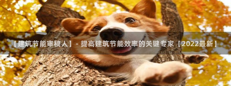 e尊国际7779：【建筑节能审稿人】- 提高建筑节能效率的关键专家【2022最新】
