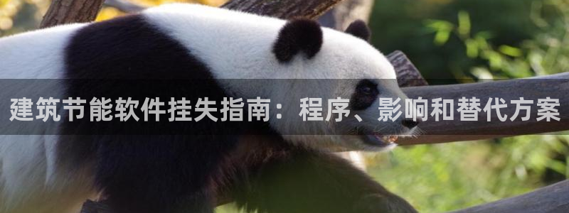 e尊国际客服：建筑节能软件挂失指南：程序、影响和替代方案
