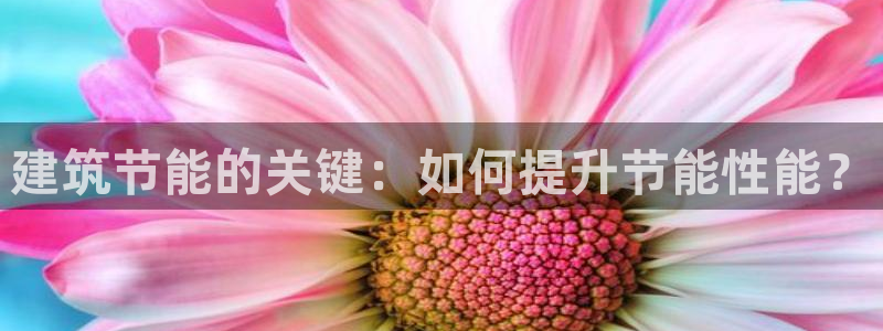 E尊国际：建筑节能的关键：如何提升节能性能？