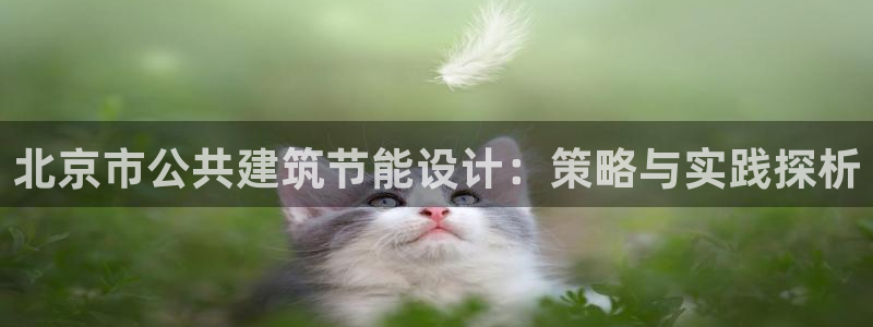 e尊国际7779：北京市公共建筑节能设计：策略与实践探析