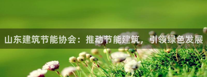 e尊电竞：山东建筑节能协会：推动节能建筑，引领绿色发展