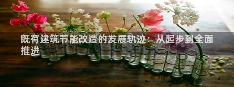 e尊国际平台：既有建筑节能改造的发展轨迹：从起步到全面
推进