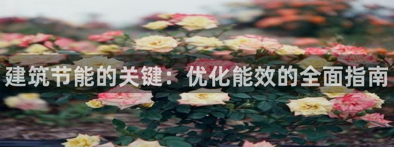 e尊官网：建筑节能的关键：优化能效的全面指南