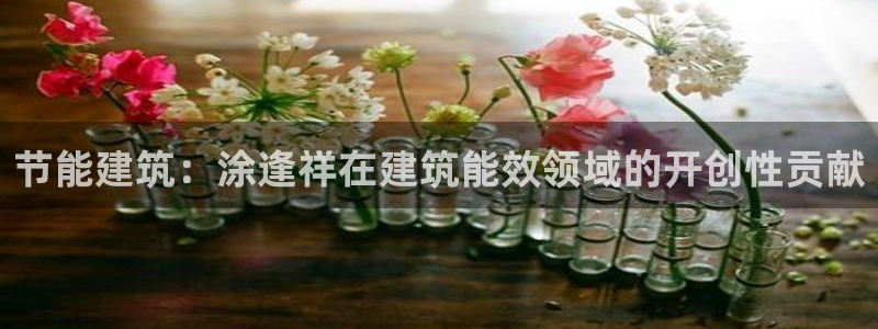 e尊国际官网app：节能建筑：涂逢祥在建筑能效领域的开创性贡献