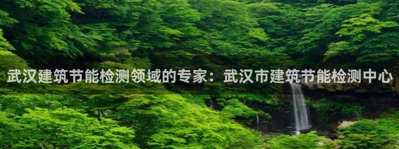 E尊国际网站：武汉建筑节能检测领域的专家：武汉市建筑节能检测中心