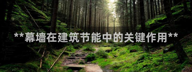 e尊国际平台：**幕墙在建筑节能中的关键作用**